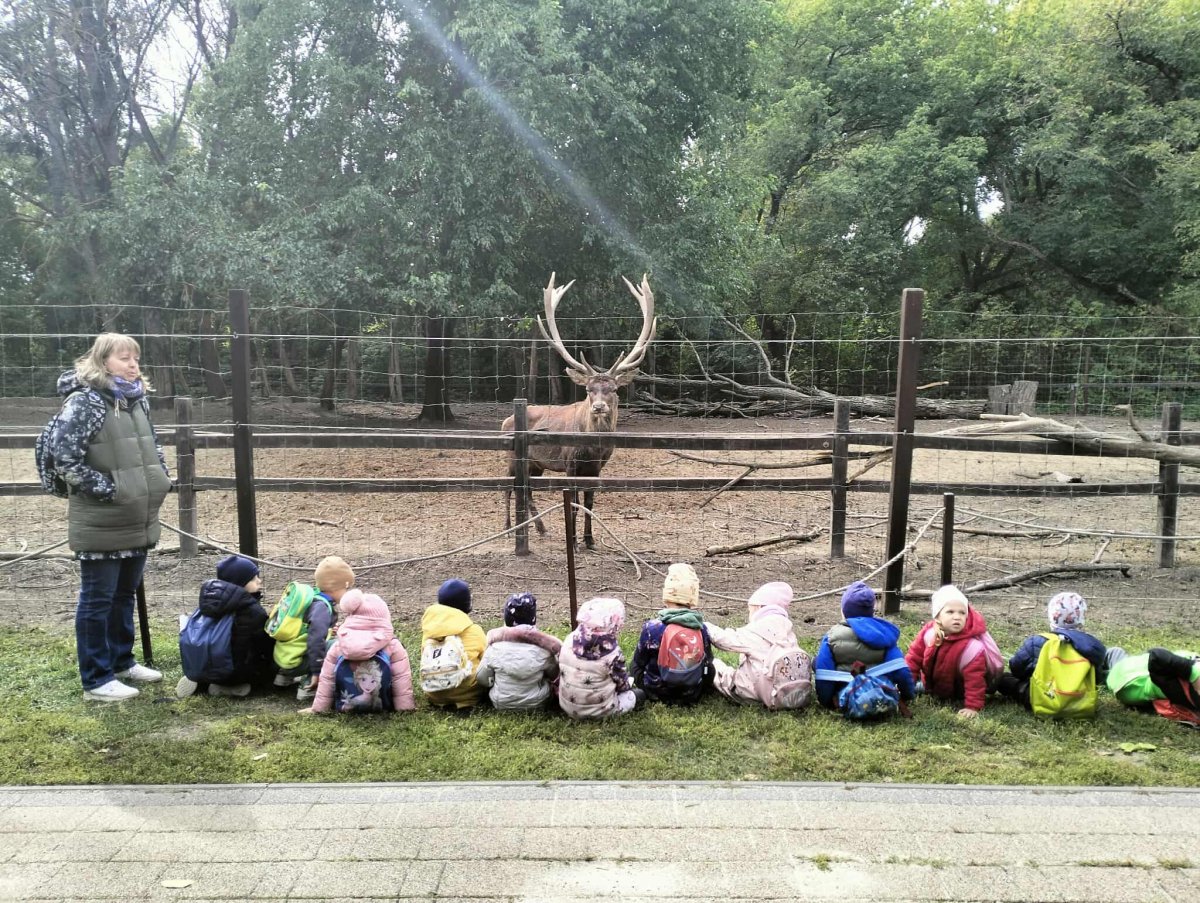 állatok világnapja