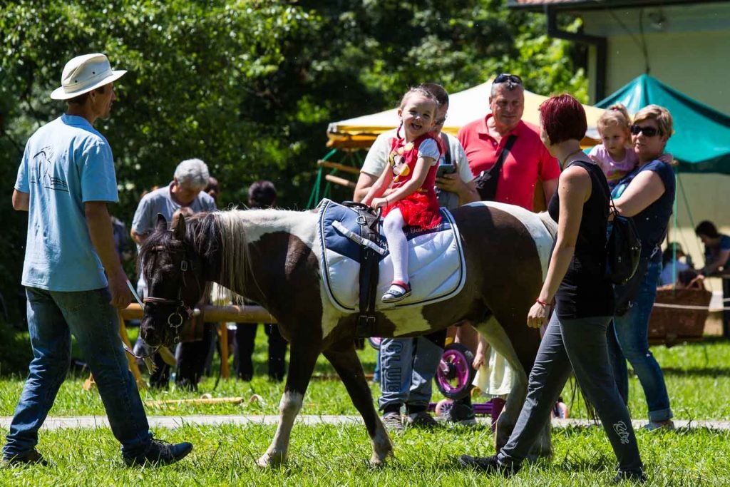 Lovaglás gyermeknapon az Állatparkban