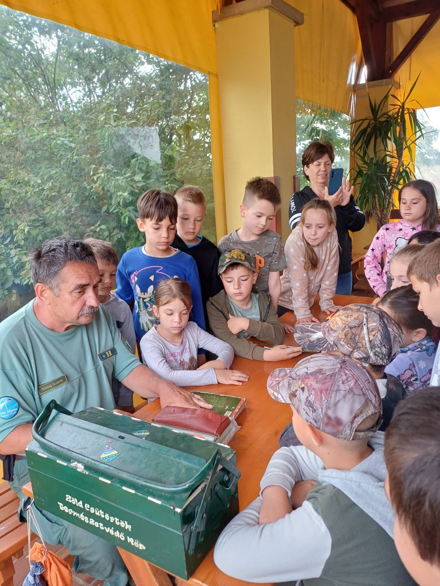 madárgyűrűzés túra