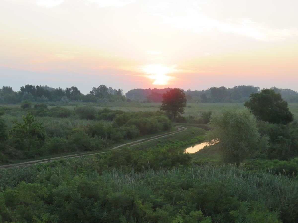 Alkonyodik a bőgőhelyen