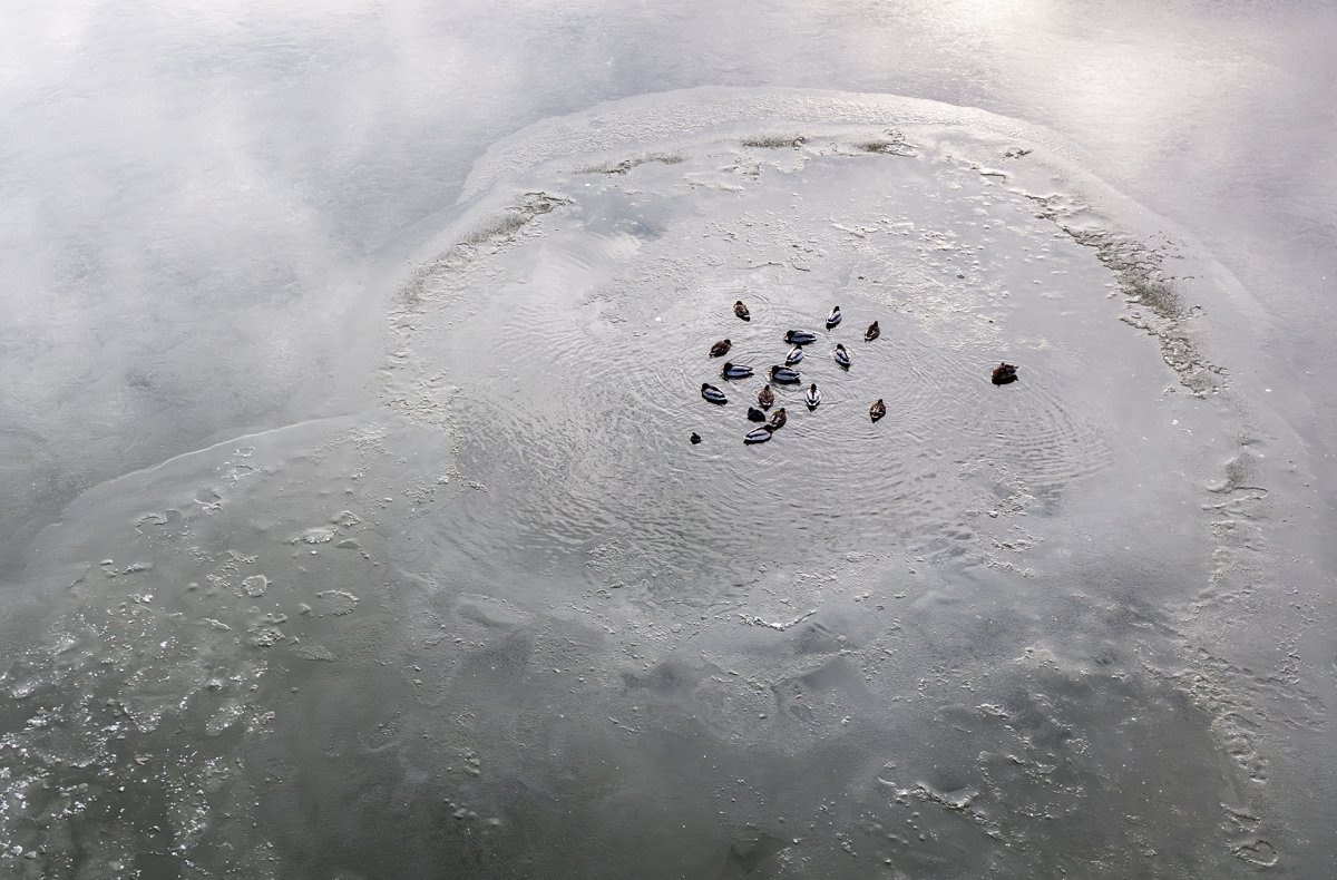 Folyamatosan mozgásban kell tartani a vizet, a befagyás ellen