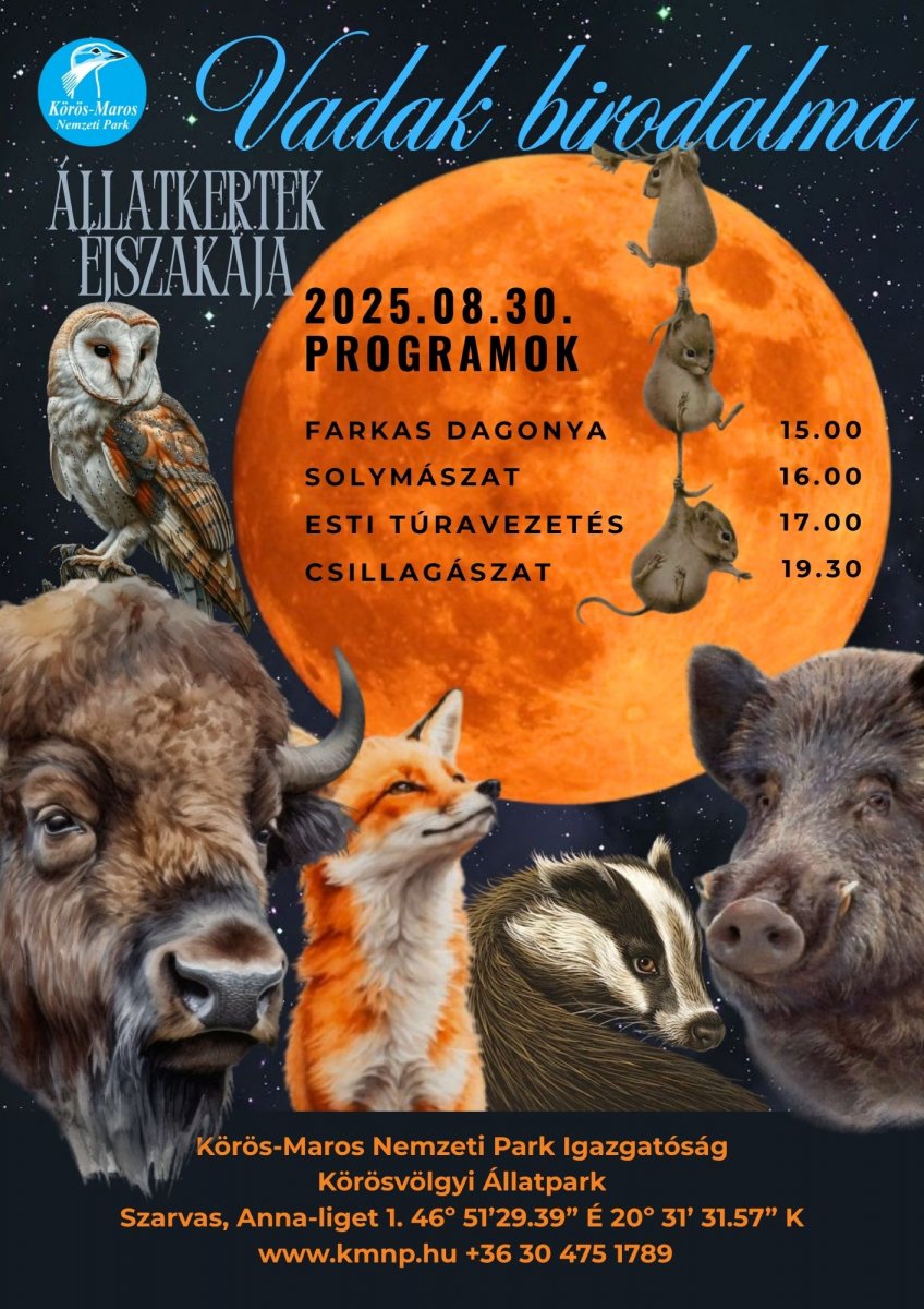 plakát