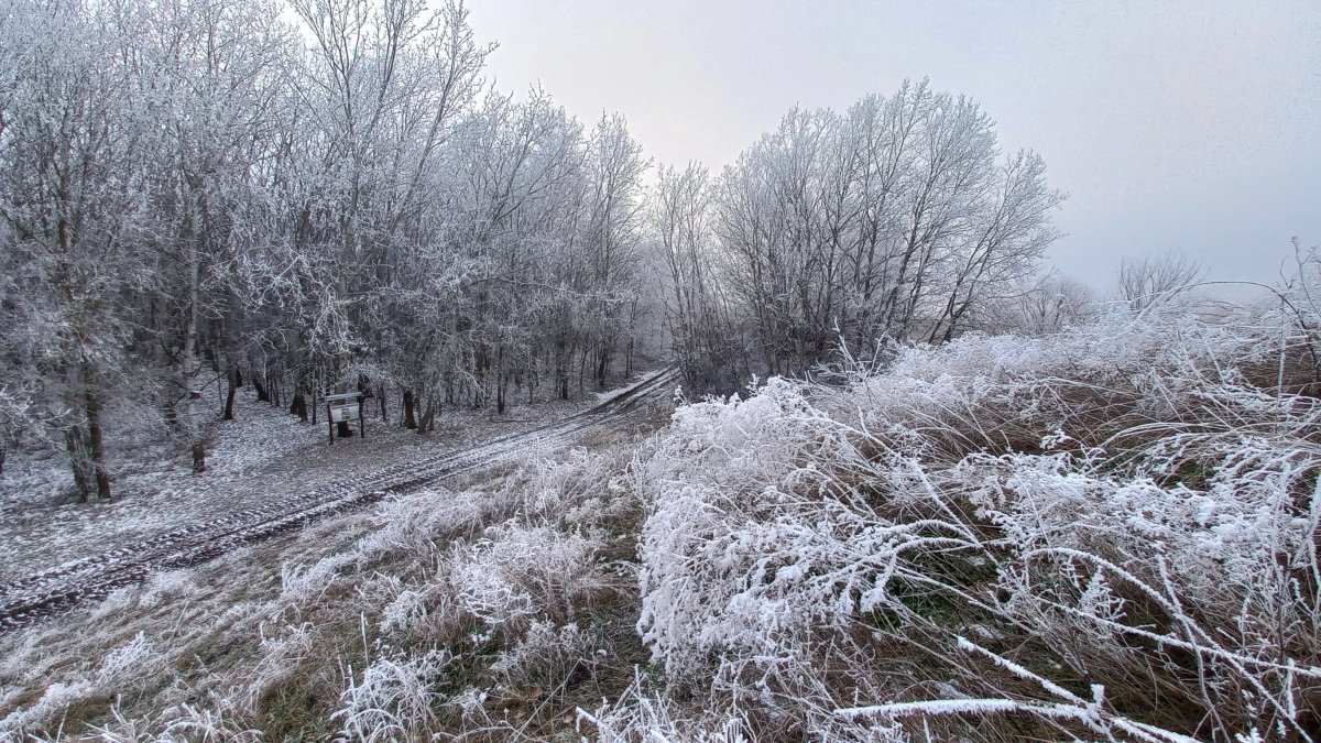 Számos izgalmat rejt a téli Maros-ártér
