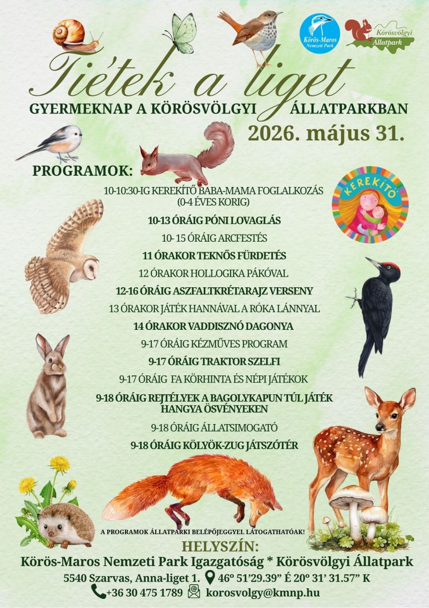 programok